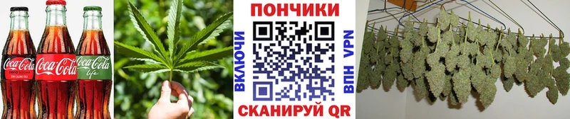купить  цена  Лихославль  Canna-Cookies марихуана 