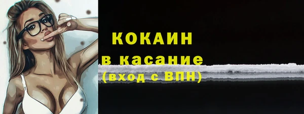 эйфоретик Пересвет