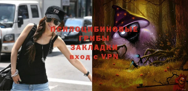 2c-b Алзамай