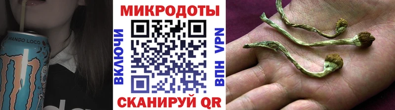Псилоцибиновые грибы GOLDEN TEACHER  купить наркотики цена  Лихославль 